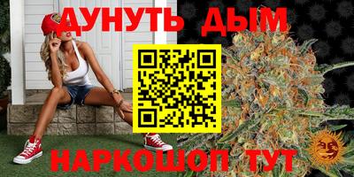 гашик Можайск