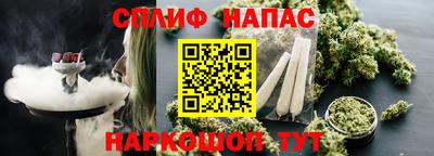a pvp Можга