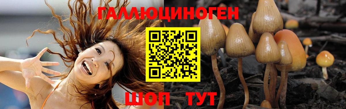 Усолье-Сибирское  Галлюциногенные грибы мухоморы  Вход с VPN 